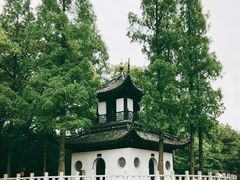 -汇龙潭