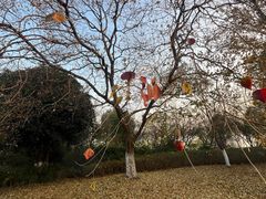 -南京工程学院(江宁校区)