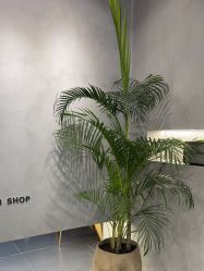 -老肖男士理发店