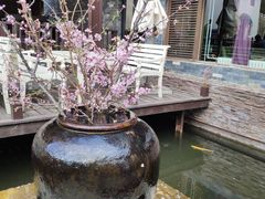 -Local泰莲庭(虹鳟鱼店)
