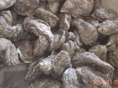 android_upload_pic-春园海鲜广场D区6号(钟姐海鲜加工店)