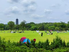 -宜兴龙背山森林公园