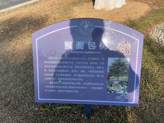 -东莞植物园