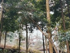 -青城山