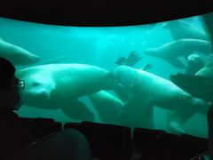 -珠海横琴国家地理探险家中心(创新方)