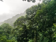 -青城山
