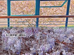 -浙江大学(紫金港校区)