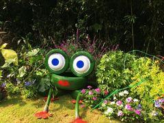 -西湖风景区-江洋畈生态公园