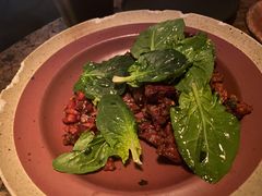 -毛辣果·酸(OHA复兴西路店)