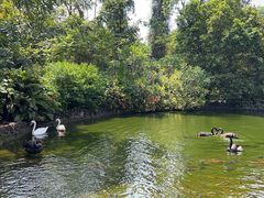-海南热带野生动植物园
