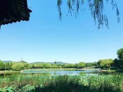 -北坞公园