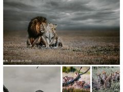 -罗红摄影艺术馆