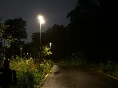 -青龙山国家森林公园