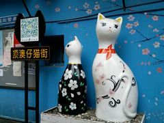 -猫咪博物馆(顶澳仔猫街店)