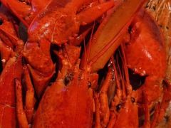 -长春高新益田福朋喜来登酒店·宜客乐标帜餐厅