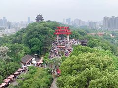 -黄鹤楼公园(黄鹤楼)