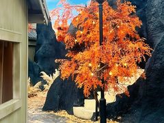 -Blue Concept Cafe&Farm·關於藍
