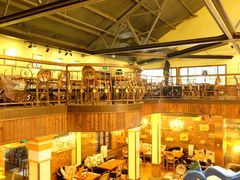 -more than meow吴止猫主题餐厅(承德 中船汇店)