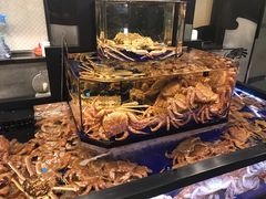 -蟹道乐(道顿堀本店)