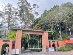 -火炉山森林公园