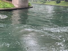 -皇家御河游(紫御湾码头)