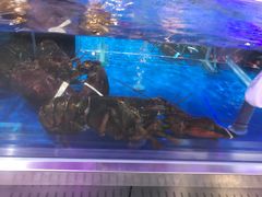 -盒马X会员店(王府井奥莱UP TOWN店)