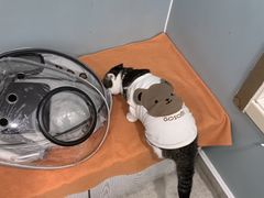 -纳吉亚猫专科动物医院·北北分院