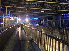 -武汉关码头(轮渡站)