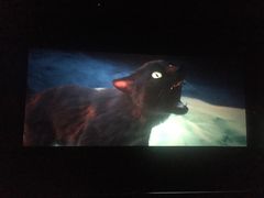 -博纳国际影城(凯德广场店)