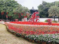 -荔湾湖公园