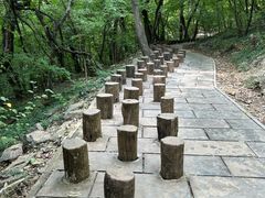-皇藏峪国家森林公园
