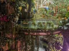 -正佳雨林生态植物园
