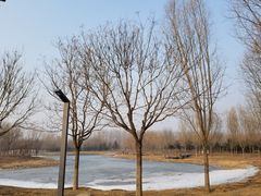 -东郊湿地公园