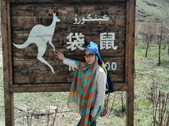 android_upload_pic-新疆天山野生动物园