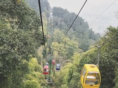 -缙云山景区