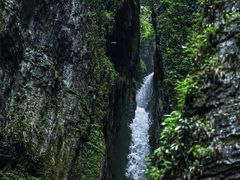 -鹿院坪生态旅游景区