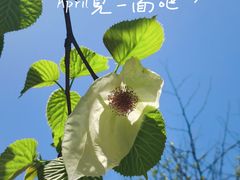 -龙苍沟森林公园