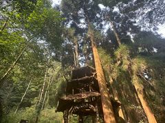 -青城山