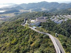 -黄贤森林公园