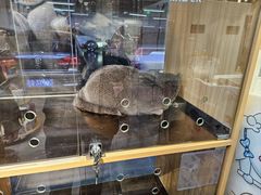 -FAELING PETS美天灵宠物(富力广场店)