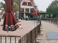 -上海野生动物园