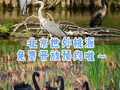 -翠湖国家城市湿地公园