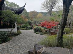 -苏州上方山国家森林公园