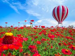 -歌斐颂巧克力小镇