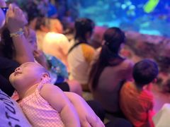 -沈阳海洋探索中心