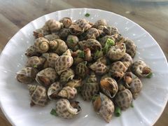 -七鲜渔港美食餐厅(巽寮湾海景店)