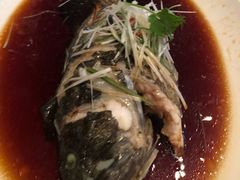 -上海龙之梦万丽酒店