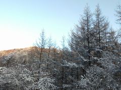 -秦岭风景区