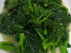 -联邦酒楼