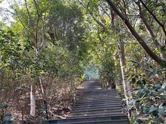 -厦门艾美酒店·新食谱西餐厅